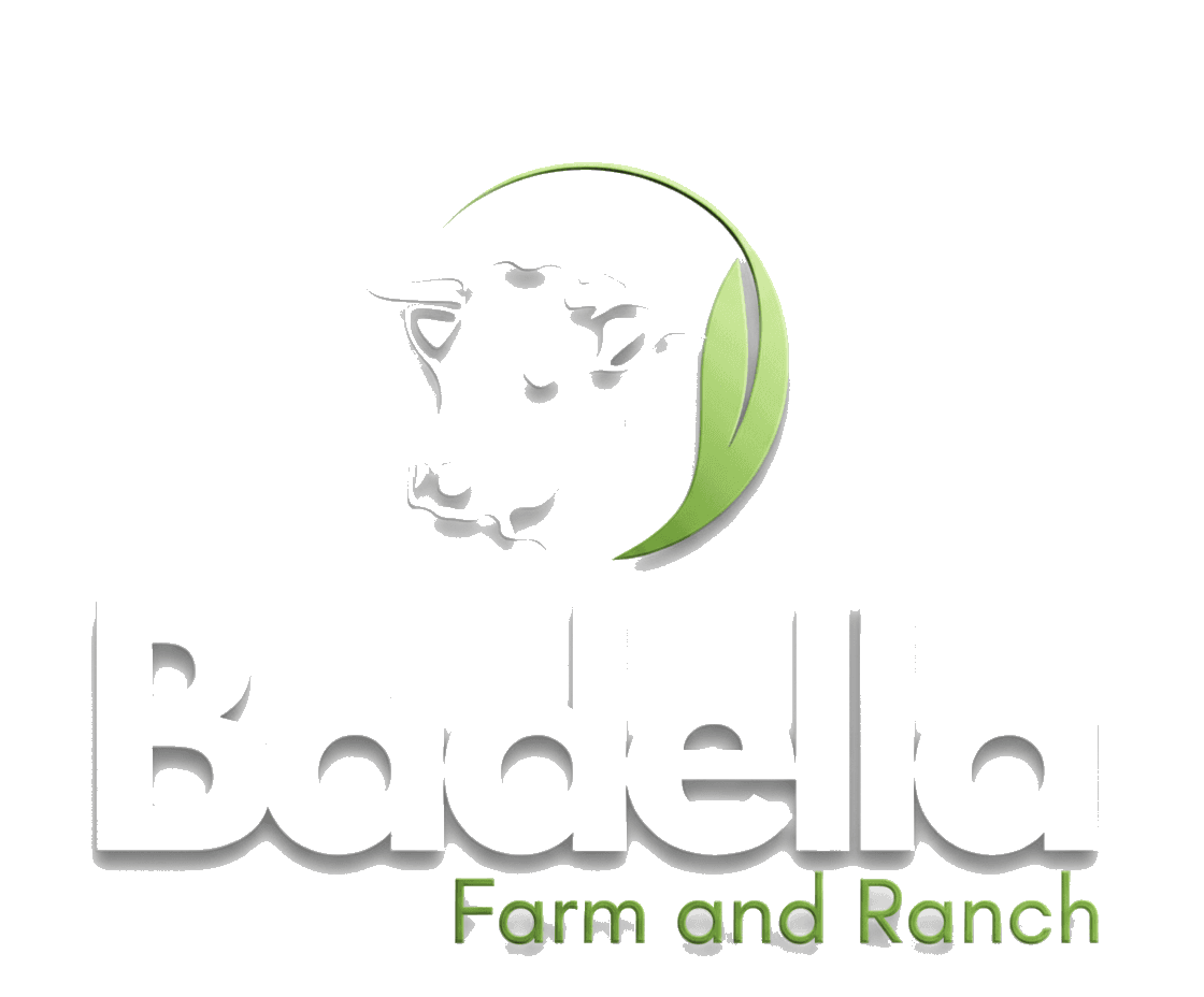 Badella Farm and Ranch